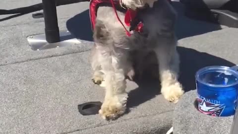 It seems like the day is just a little windy 💨🤣