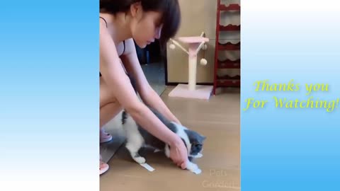 Funny and cute cat's live (parte 1)cats and owners the best friends videos