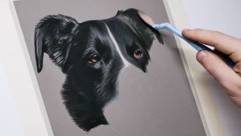 Pet Artwork Drawing // Color Pastel Technique