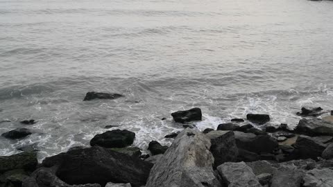 beach on the Caspian sea