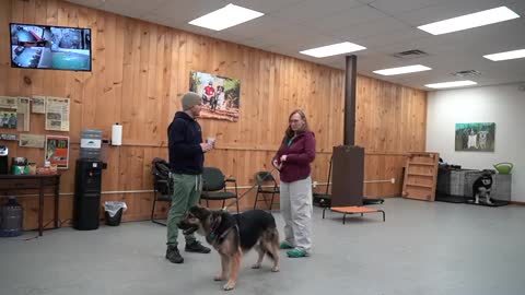 How to make your Dog listen and obey you I By a professional Dog Trainer