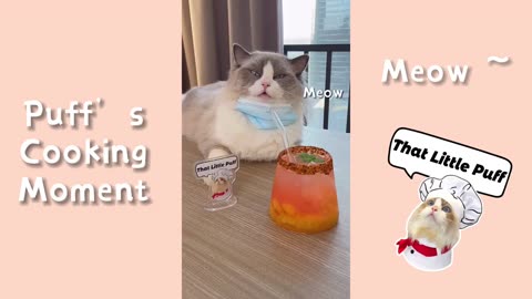 Puff's Cooking Moment | That Little Puff (July 25)