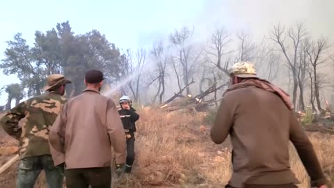 Wildfires rage across Algeria, Greece and Italy