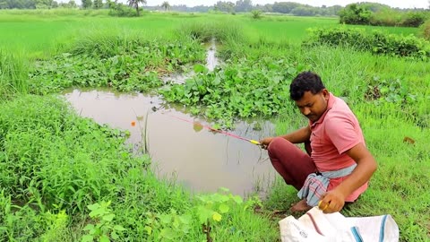 Fishing Video | The fun of fishing with a hook in the village canal is different rod fishing Best