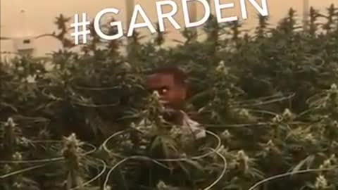 yt1s.com - Tshego Garden official funny