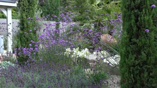 Luxurious Mediterranean style garden designed and built by Jack Dunkley