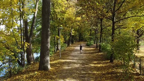 A Nice Day for Morning Walk