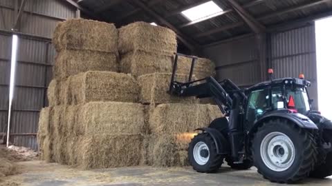 Incredible Milking, Feeding and Cleaning Machines Amazing Modern Automatic Cow Farming Technology.