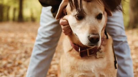 Most Friendly Animal , Must Watch