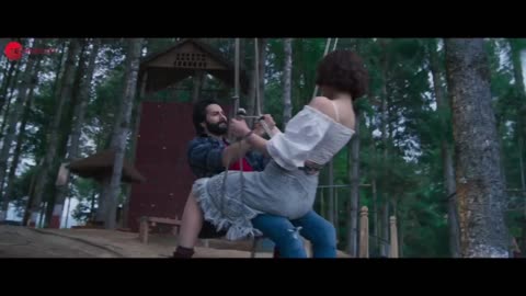 Apna Bana Le - Bhediya Varun Dhawan , Kriti Sanon Atijit singh