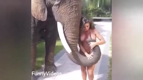 Funny animals video funny girls video