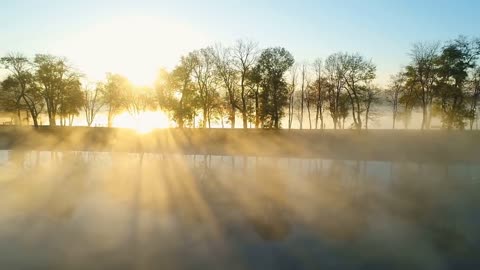 Enchanting Autumn Forests with Beautiful Piano Music