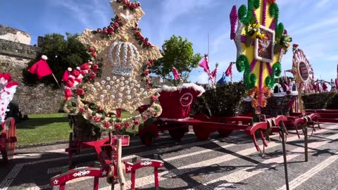 Carros de Bois Cortejo etnográfico XX Grandes Festas do Divino Espírito Santo Ponta Delgada Açores