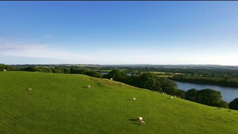 outdoor grassland