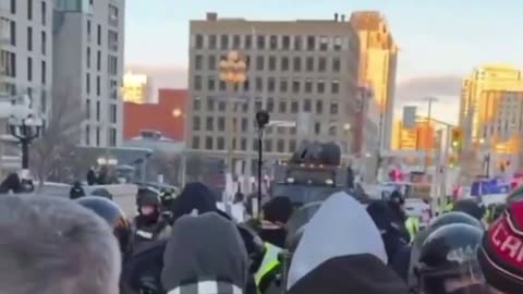 "Ottawa Police Horses Trample Protesters, Almost Killing Elderly Woman"