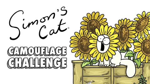 Camouflage Challenge Simon’s Cat GUIDE TO