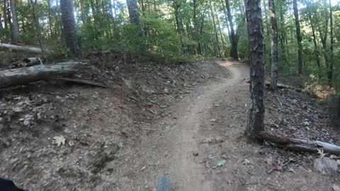 Mt Nebo AR Chickalah Downhill