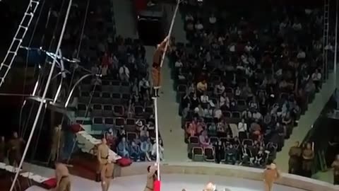 Amazing ! Circus!