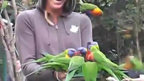 A girl meets a group of parrots