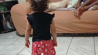 Quarreling Canines Barrel Into Child