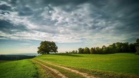 Tree Clouds Greenry Free stock footage Free HD Videos - no copyright NCS-NCV 33 @jasrajparmar7