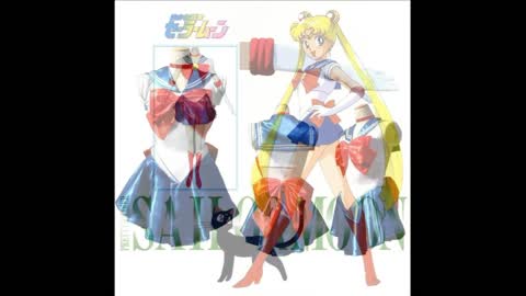 Sailor Moon Costume