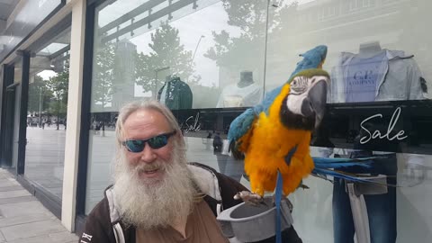 Will and Sunny Parrot Man Plymstock 2019 Ocean City