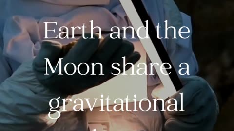 Moon and Earth Gravitation