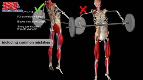 Snatch Anatomy