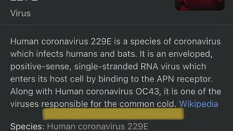 NEW ANGLE IN THE COVID TESTING FRAUD