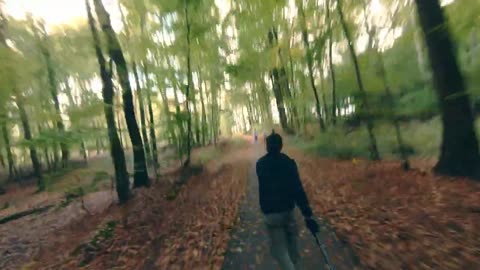 Stand Up Paddle Boarding in the forrest