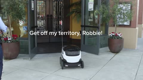 We Tried To Steal Food From A Delivery Robot