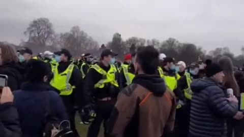 More video from the anti lockdown protest in London yesterday_5