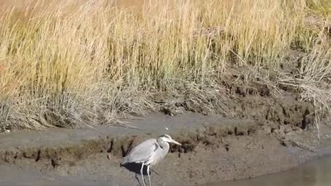 National Wildlife Refuge