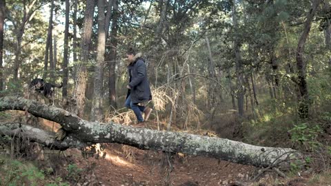 Man walking his dog in a forest