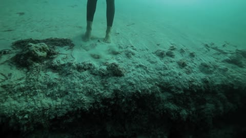 Stunning free dive footage ❤️❤️❤️