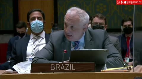 UN Representative for Brazil Calls for Biological Weapons Investigations in Ukraine