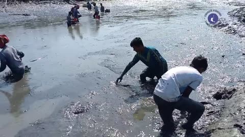 #village pond fishing