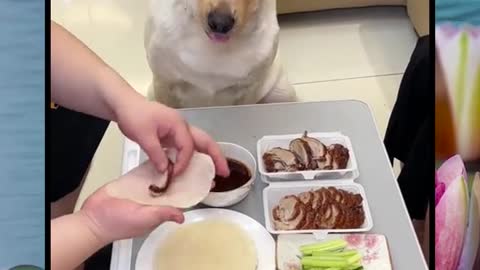 I want to eat it too!