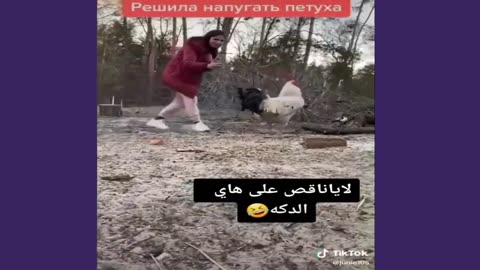 موت ضحك 🤣🤣 حمار قبيح ويركل صاحبه لقطات مضحكة ضحك حتا الموت حيوانات مضحكة