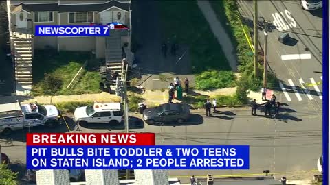 2 teens, toddler attacked by pit bulls on Staten Island