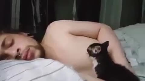 What This Cat Doing To Its Drowsy Human Is Freaking Weird