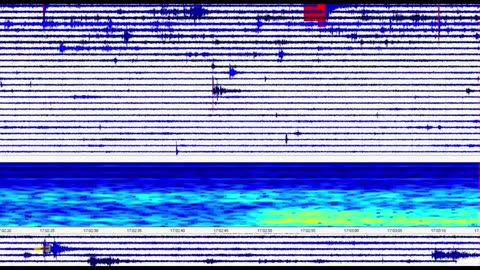 Mary Greeley News - 💥 ALERT: Rare Tornillo - Screw Wave At Yellowstone Lake 💥