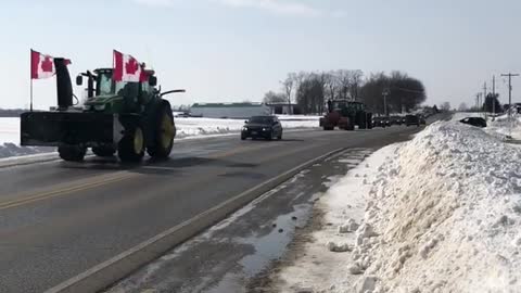 Trudeau's Draconian Measures Ignites Dissent | Teviotdale, Ontario Convoys for Freedom