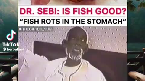 Dr sebi explains fish in gut