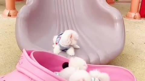 Babies taking slide