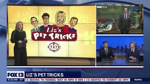 Liz's Pet Tricks for Monday, November 28 FOX 13 Seattle