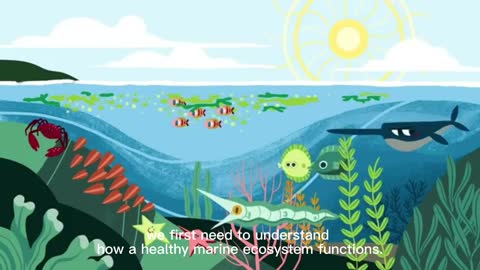 how a healthy marine ecosystem functions