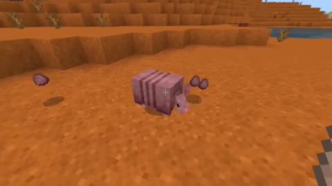 Ultimate Guide to Armadillos: Minecraft Java Edition Review