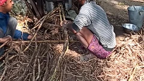 Making of jaggery